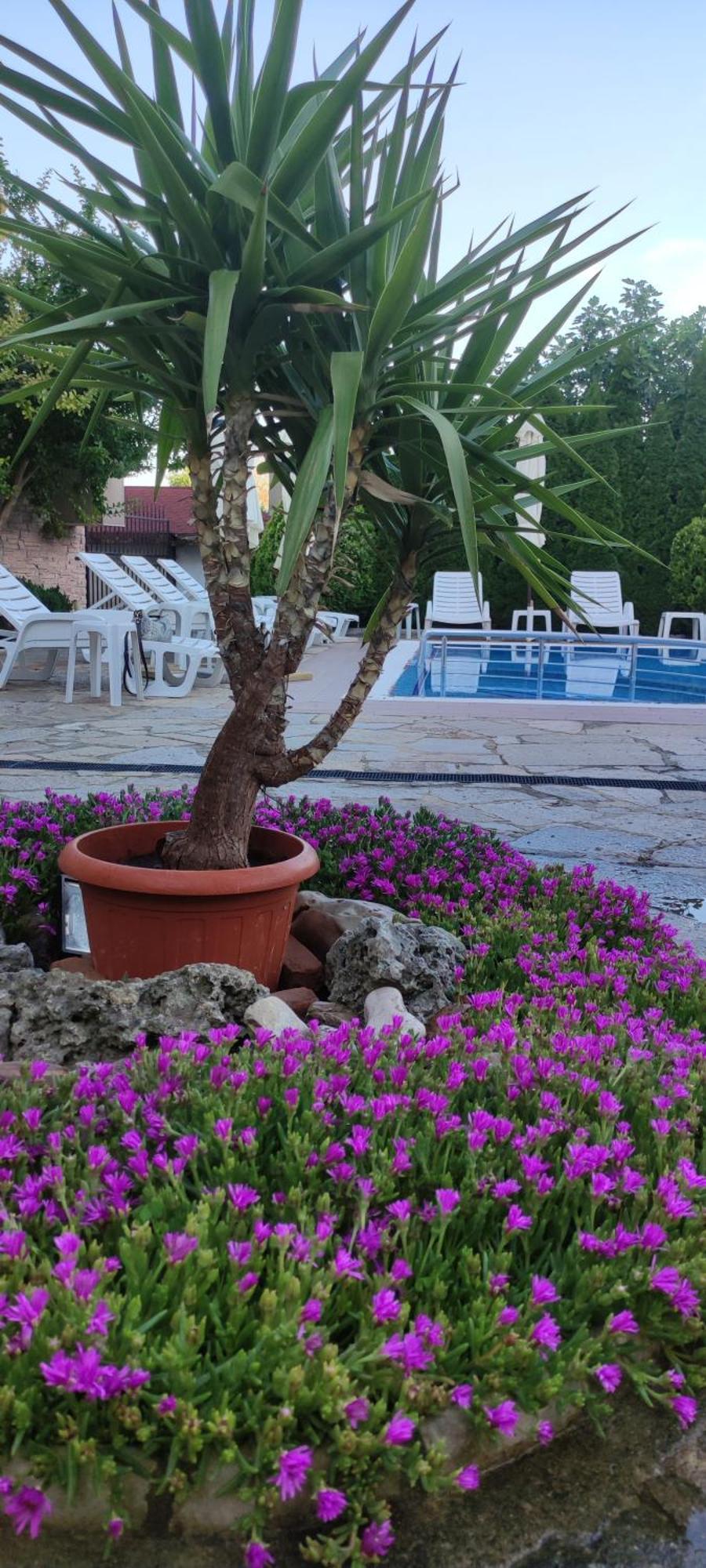 Guest House Palazzo Byala  Exterior foto
